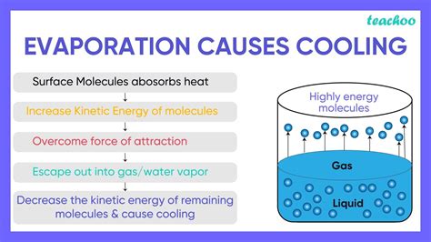 Evaporation Definition Science at Rodney Swisher blog