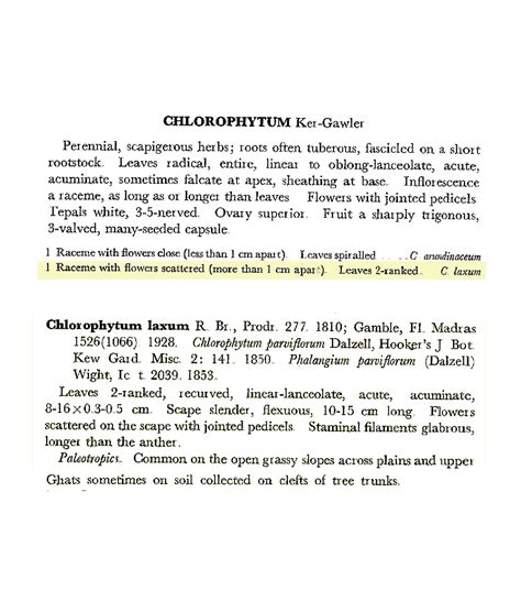 Herbarium JCB