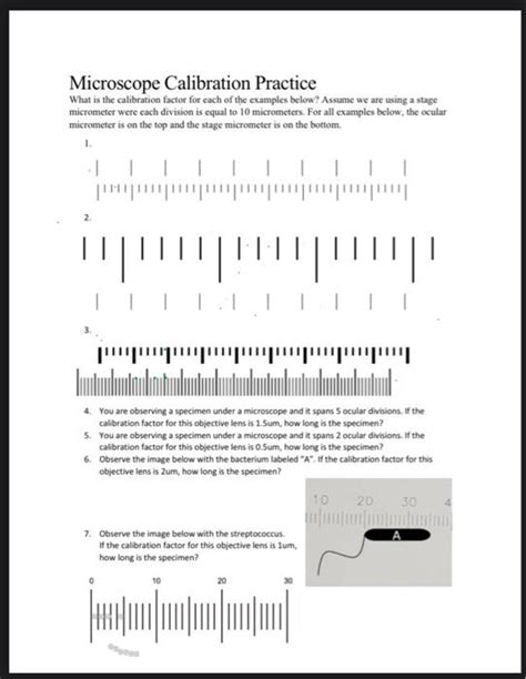 Image result for Microscope Calibration Procedure
