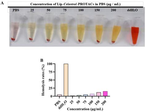Development and Evaluation of Liposomal Celastrol-PROTACs for Treating ...
