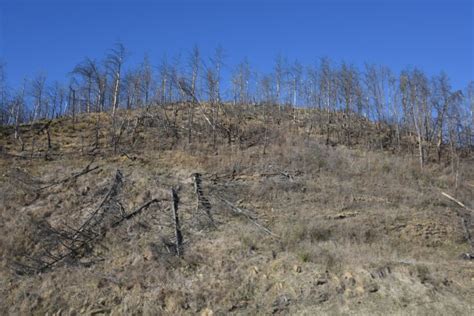 Silver Jackets team learns about Gatlinburg wildfires | Article | The ...