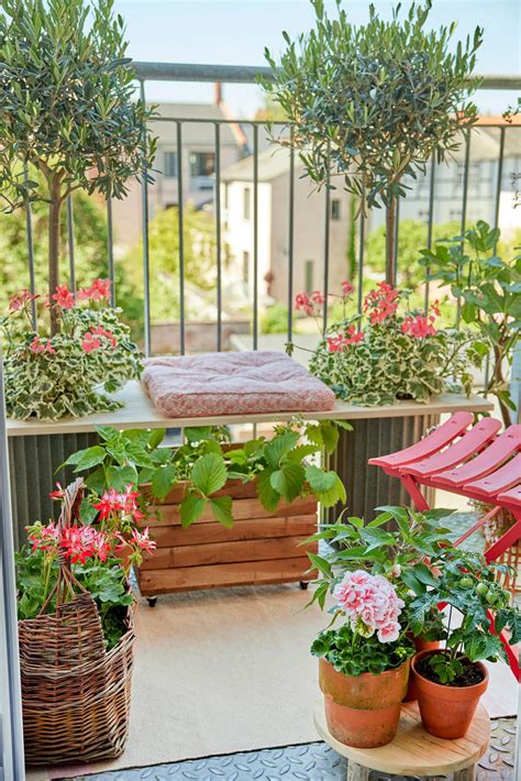 Balcony gardening tips for beginners to harvest rainwater easily
