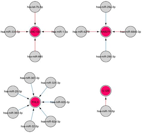 In Silico Analysis of MiRNA Regulatory Networks to Identify Potential ...