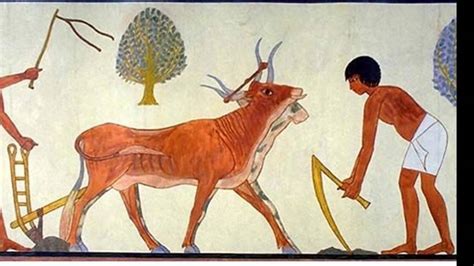 Neolithic Farming 的图像结果