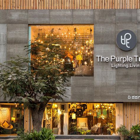 THE PURPLE TURTLES (2026) All You Need to Know BEFORE You Go (with ...