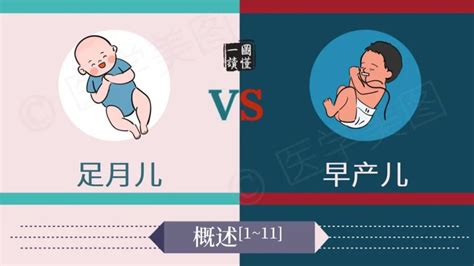 一图读懂丨足月儿 VS 早产儿_澎湃号·湃客_澎湃新闻-The Paper