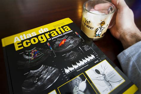 Learn ultrasound in Spanish - Small Animal Ultrasonography