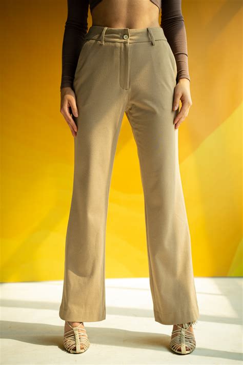 Buy Women's Brown Stripe Power Stretch Trouser Online in India