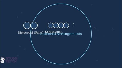 Cloning Reproduction 的图像结果