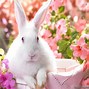Image result for Cute Easter Hugs