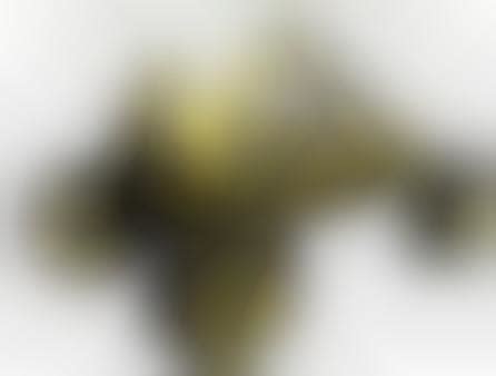 Eatr Robot 的图像结果