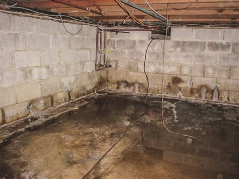How can I Get Rid of The Damp Basement Smell in My London Home? - Architectures Ideas - what is the smell of damp