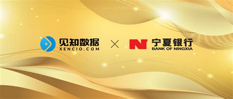 宁夏银行×见知数据：实现信贷审批效率与质量的“双提升” – 见知 Xencio