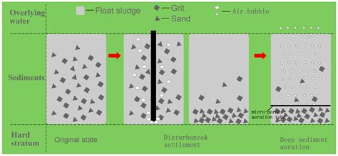 Pollutants’ Release, Redistribution and Remediation of Black Smelly ...