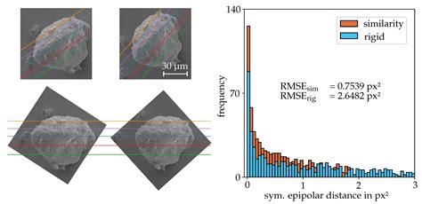 Quantitative 3D Reconstruction from Scanning Electron Microscope Images ...