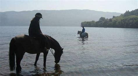 LOCH NESS B AND B (Drumnadrochit) - Lodge Reviews & Photos - Tripadvisor