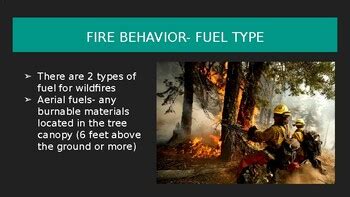 Image result for Fire Behavior Flow Path