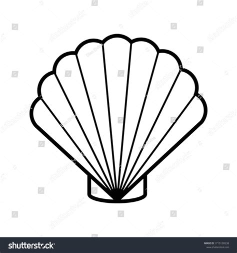 26,665 Sea Shells Outline Images, Stock Photos & Vectors | Shutterstock
