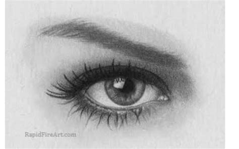 Draw a perfect eye ? - Brainly.in