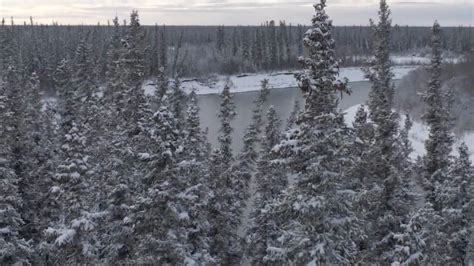 Alone | Season 11 Now Streaming | On Stan.