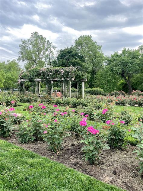 Best 13 Things to Do in Arlington, VA: Bon Air Rose Garden – Artofit