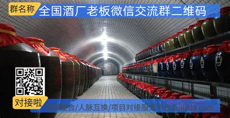 邛崃散酒：四川金龙酒厂的酿造工艺
