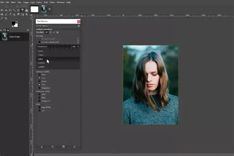 Image result for GIMP Scale Pattern