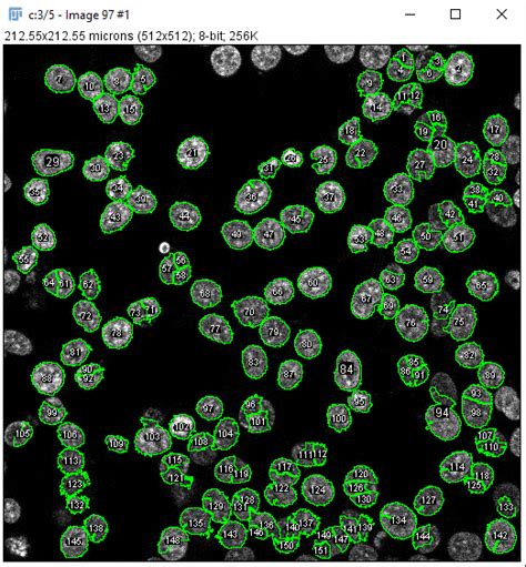 Image result for Measuring Fluorescence Intensity ImageJ