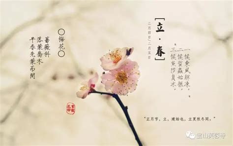 女人第二春 01（刘涛&于和伟 共同绽放人生第二春 离婚不可怕，第二春来的时候把握不住才可怕 ） - YouTube