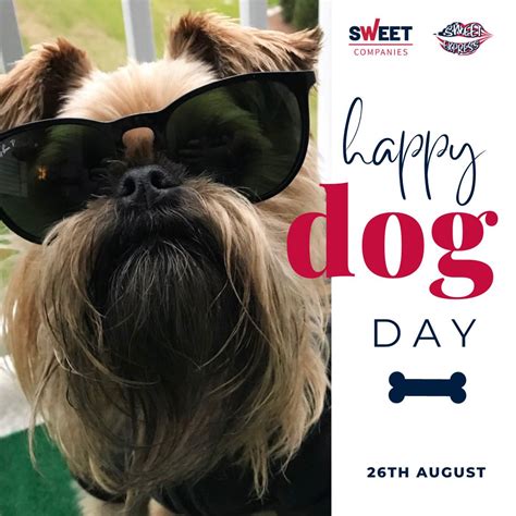 Sweet Express LLC on LinkedIn: #nationaldogday #dogs #doglover