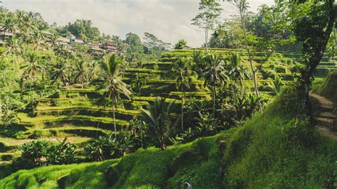 Thailand Vs Bali: Choose Your Favourite Beach Destination