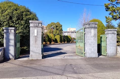 Image result for Option API vs Composition API