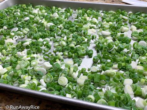 How to Freeze Green Onions / Scallions