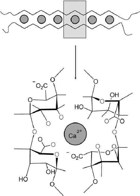 Sifat Fisikokimia Natrium Alginat - Ilustrasi 4