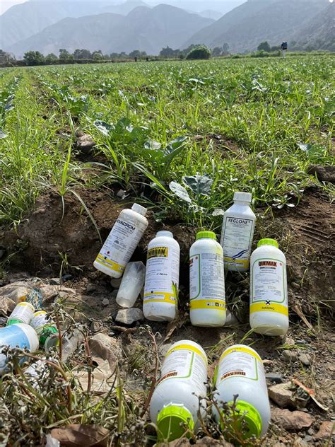 El abuso de plaguicidas y sus riesgos - Salud con lupa