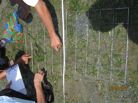 Image result for Sampling Methods Tagalog