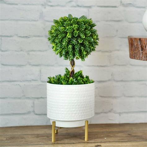 Buy Ettta Troda Planter Online in India | Vaaree