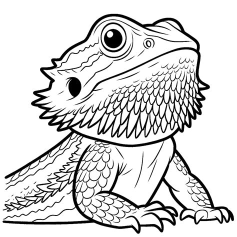 Bearded Dragon Coloring Pages 20 - Coloring Pages Gem