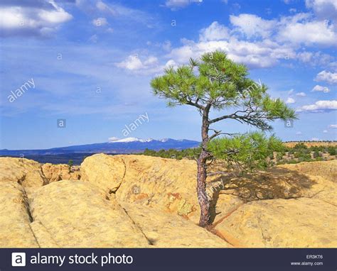 Mateo taylor hi-res stock photography and images - Alamy