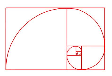 Fibonacci spiral | The Golden Ratio | Know Your Meme