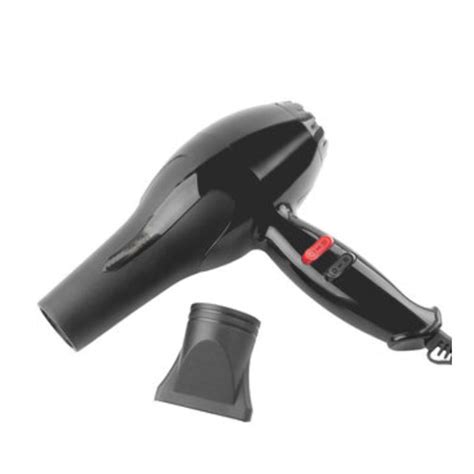 0386 1500 Watts Professional Hair Dryer 2888 (Black) - DeoDap