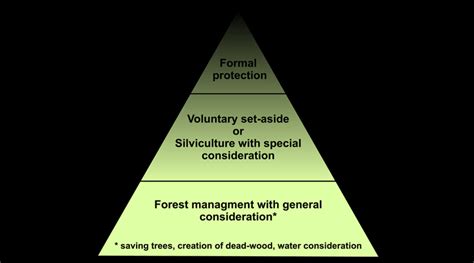Forestry Model 4 的图像结果
