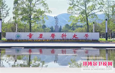 重庆2023年有护理学校的大专大学_邦博尔卫校网