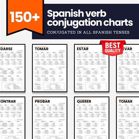 Important Spanish Verbs