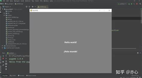 PsychoPy Python 的图像结果