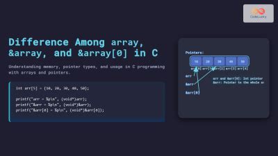 C Flexible Array Size 的图像结果