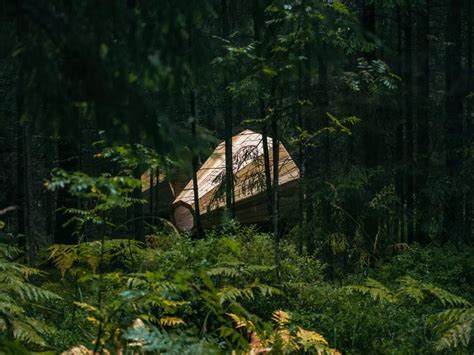 Hear the forest with these megaphones in Estonia! | Times of India Travel