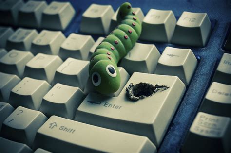 Computer Viruses 的图像结果