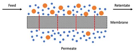 Cellulose-Based Carbon Molecular Sieve Membranes for Gas Separation: A ...