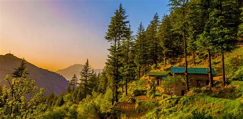 Explore Dhanaulti Tourism: Peaceful Escapes and Scenic Spots